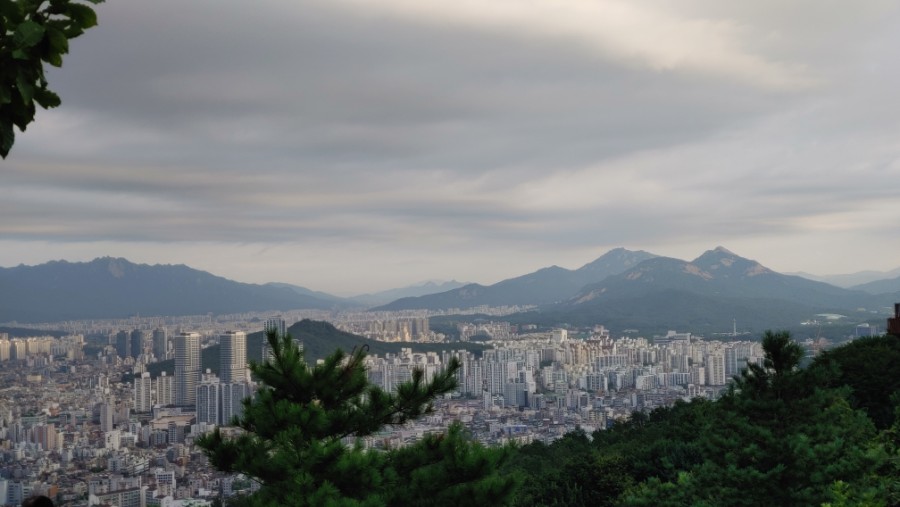 포털행정사사무소 이미지