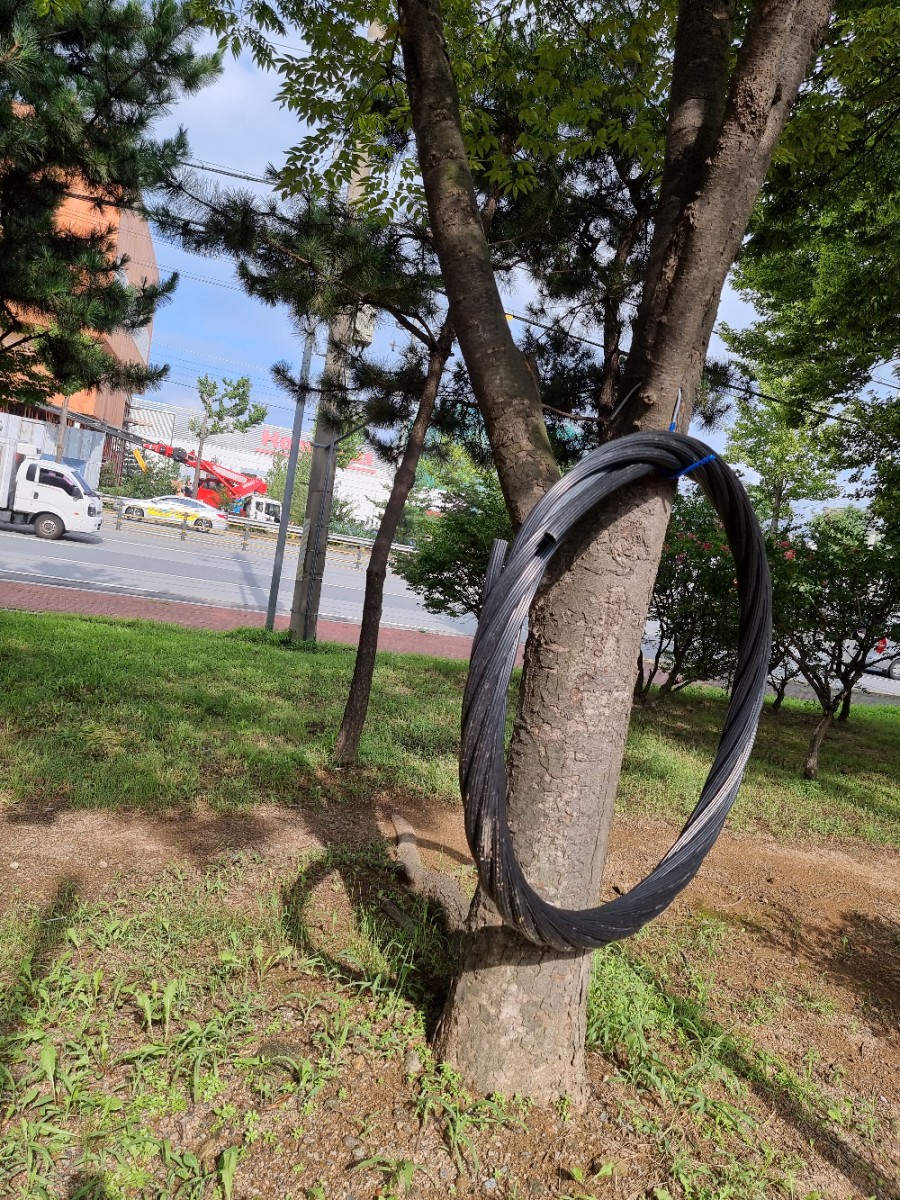 이디야경주점 이미지