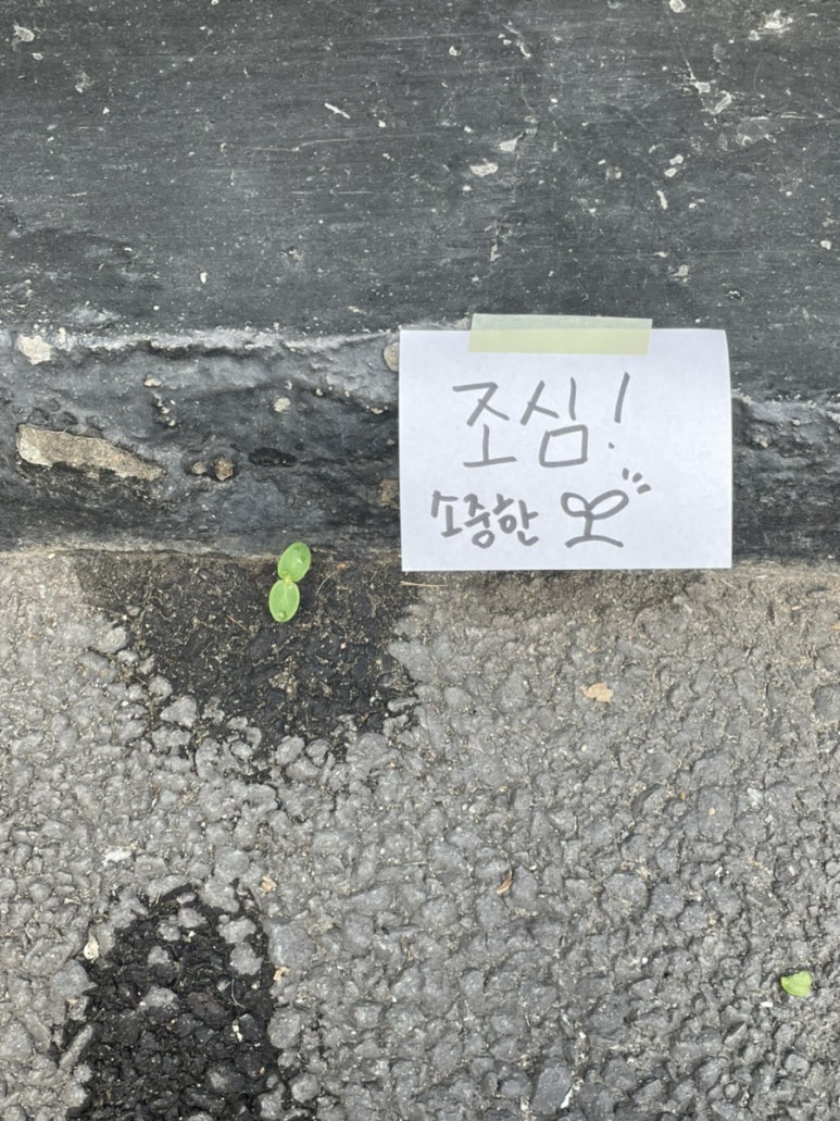 박민수신경과 이미지