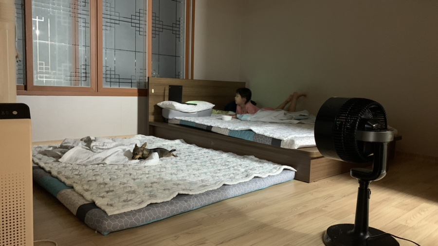 생선장수(수지점) 이미지