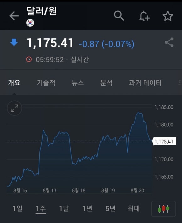 서프라이즈시티 이미지