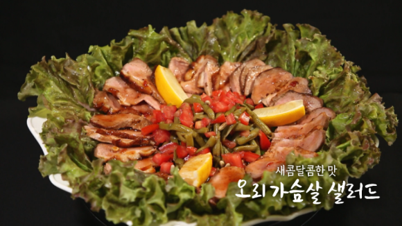 오리한마리 이미지