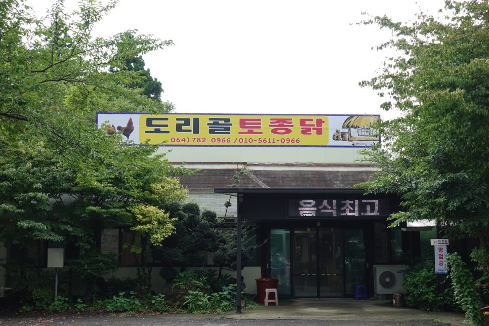 도리골토종닭 이미지