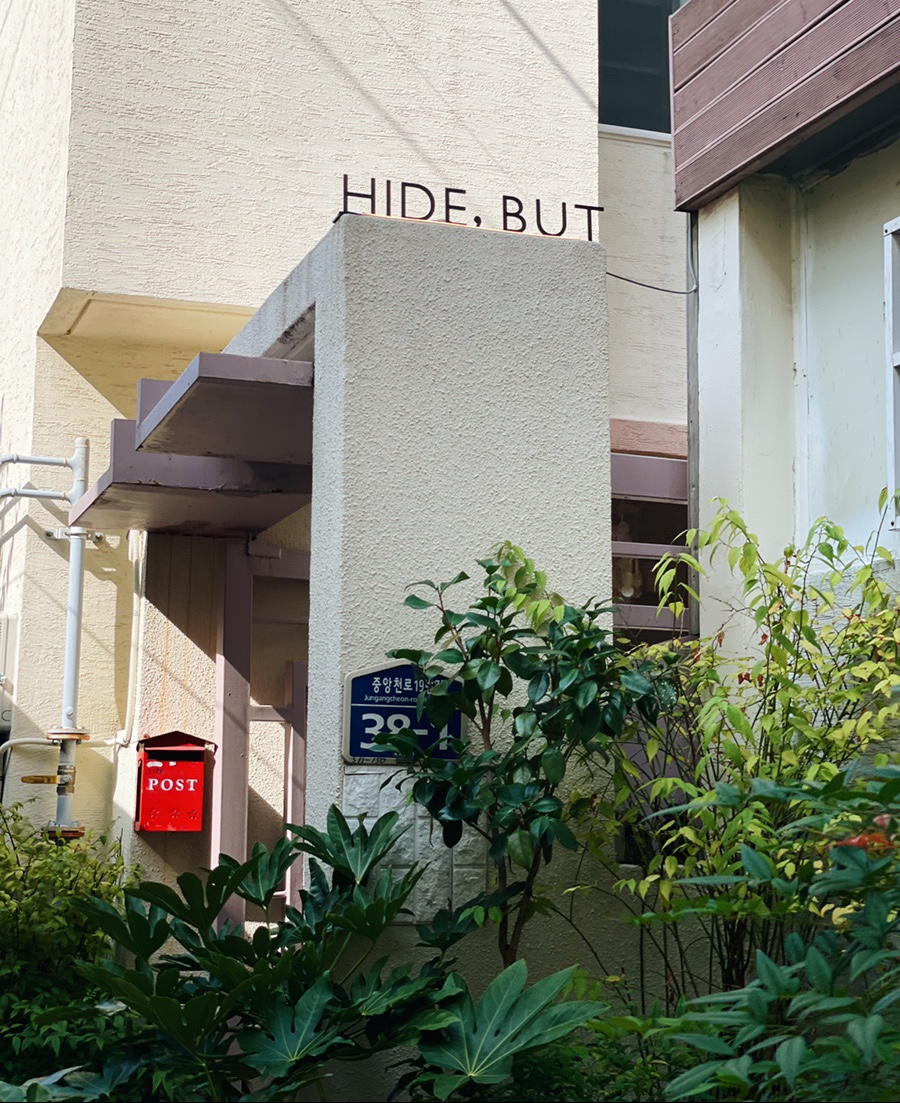 하이드벗(hide but) 이미지