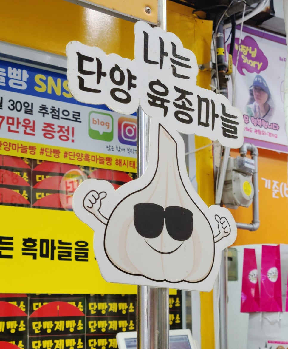 쥬씨단양점 이미지