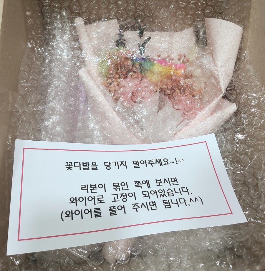 컨브리오 이미지