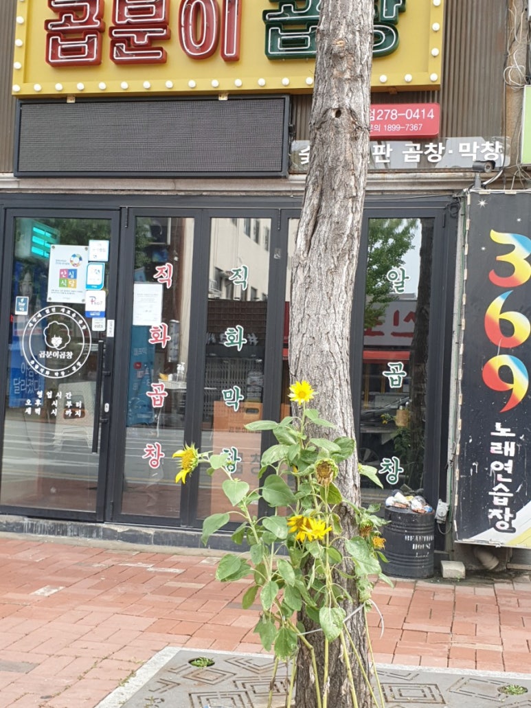 369노래연습장 이미지