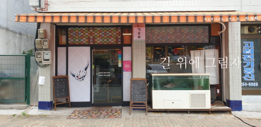 천송화 이미지
