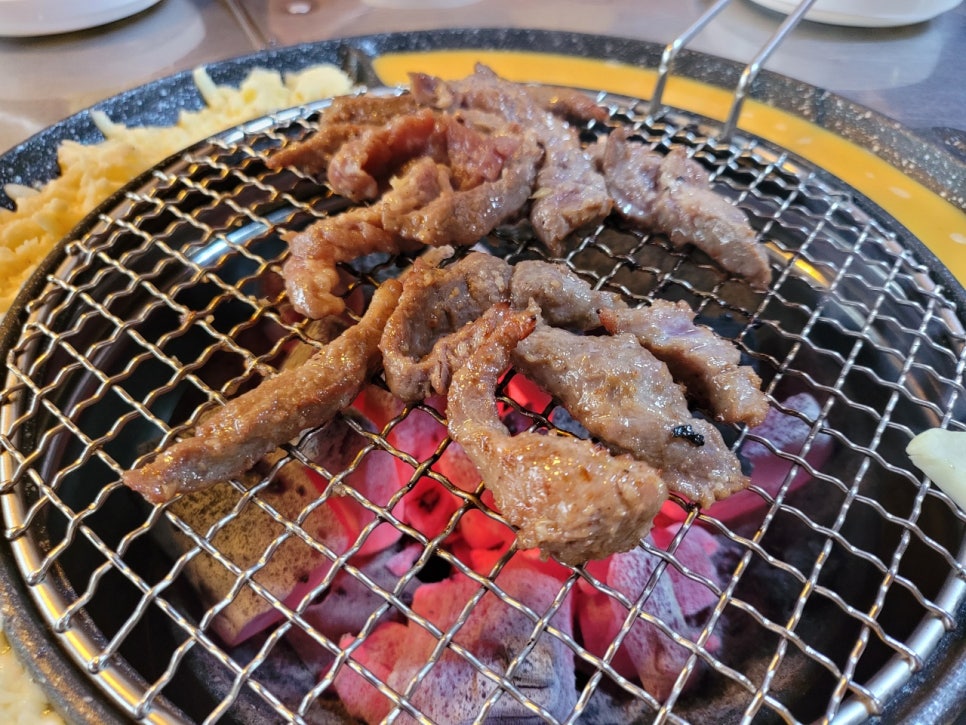 갈매기먹짱 이미지