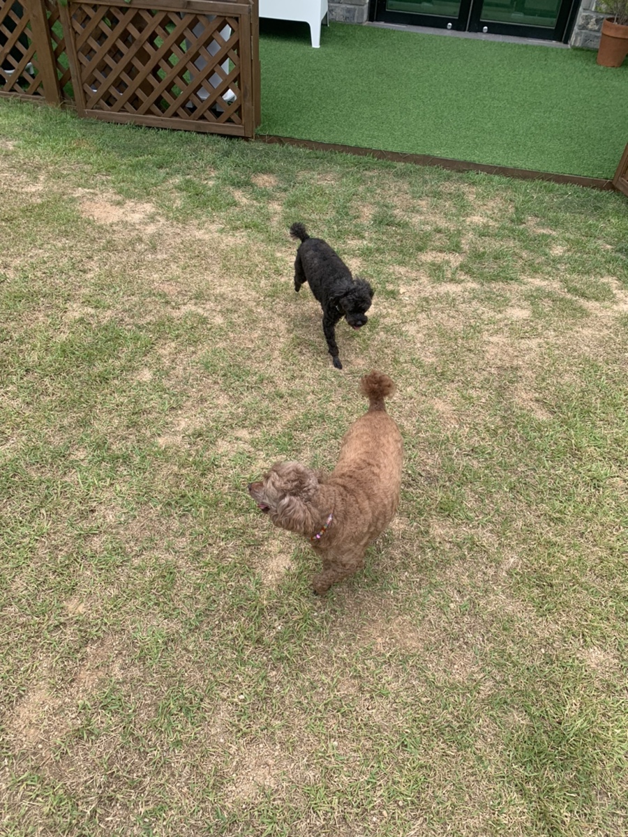 대성상회 이미지