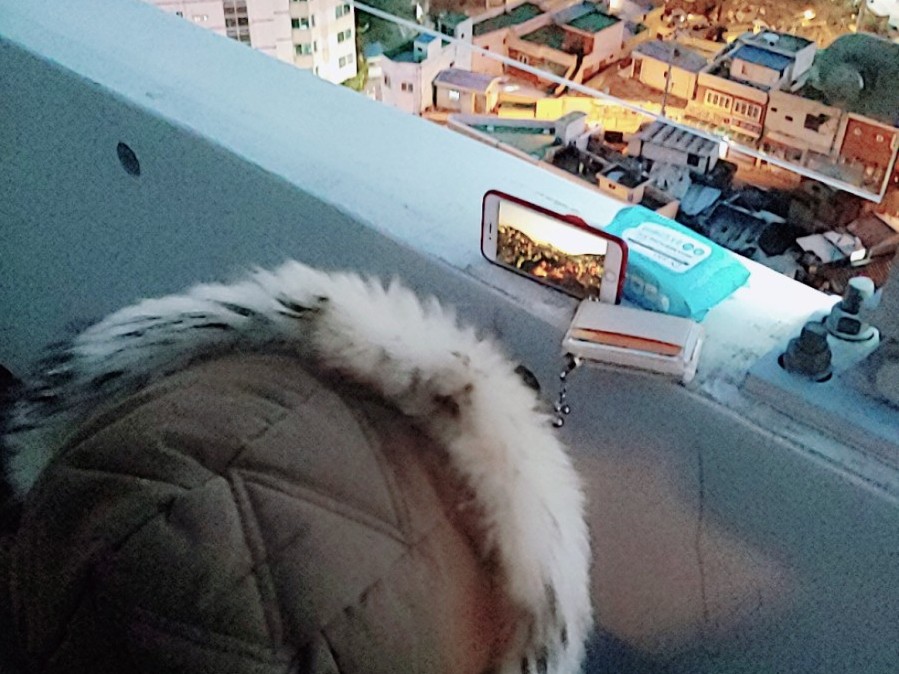 남일문화 이미지