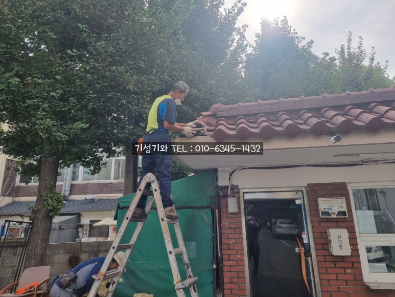 기성기와 이미지