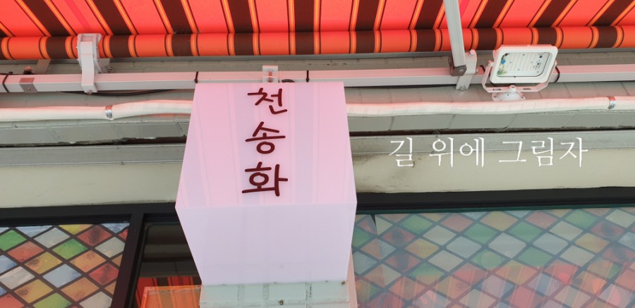 천송화 이미지