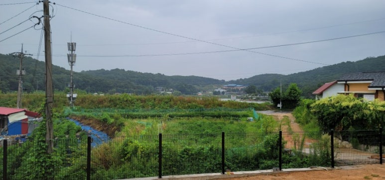 솔이네국수집 이미지