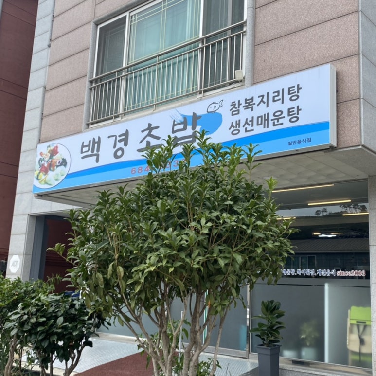 민티에스 이미지