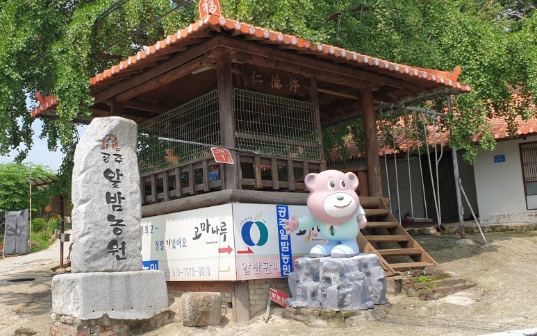 공주알밤농원 이미지