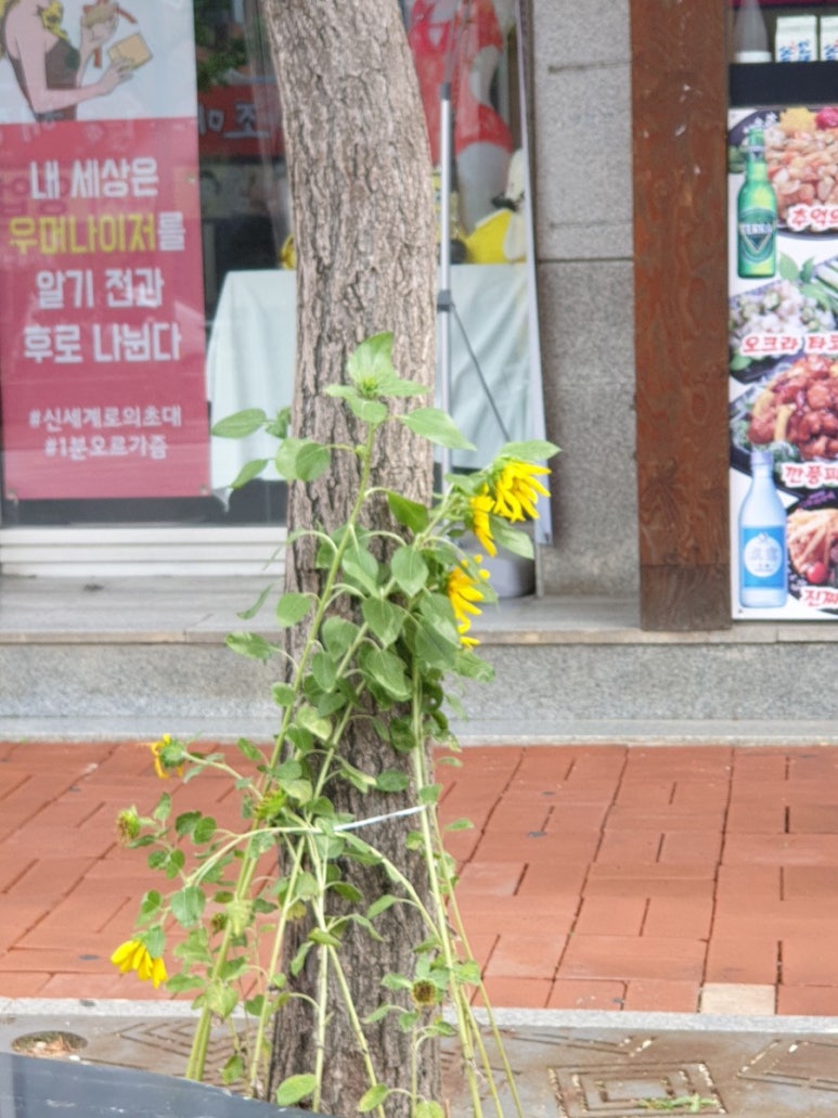 369노래연습장 이미지