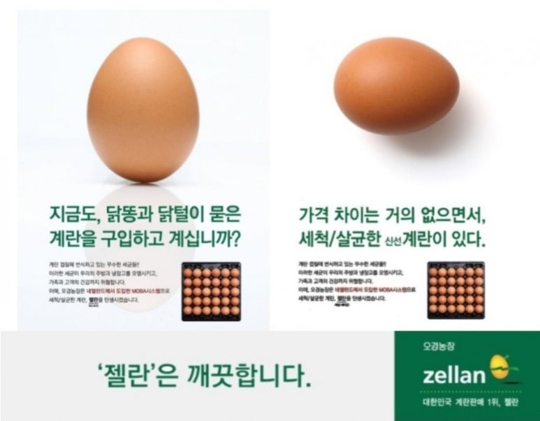 오경(젤란) 이미지