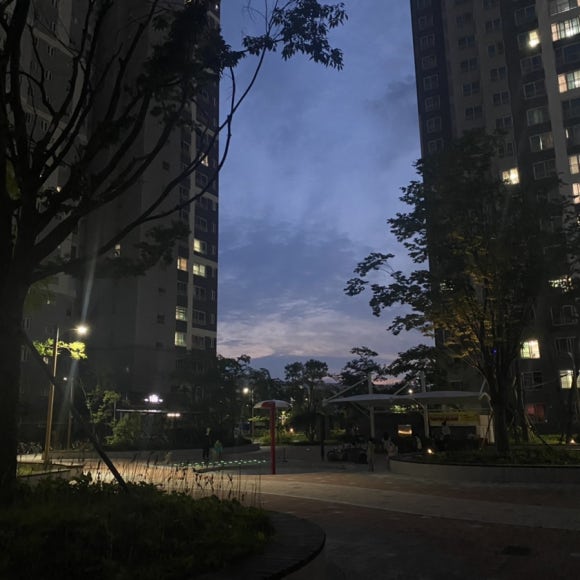 해조쭈꾸미볶음 이미지