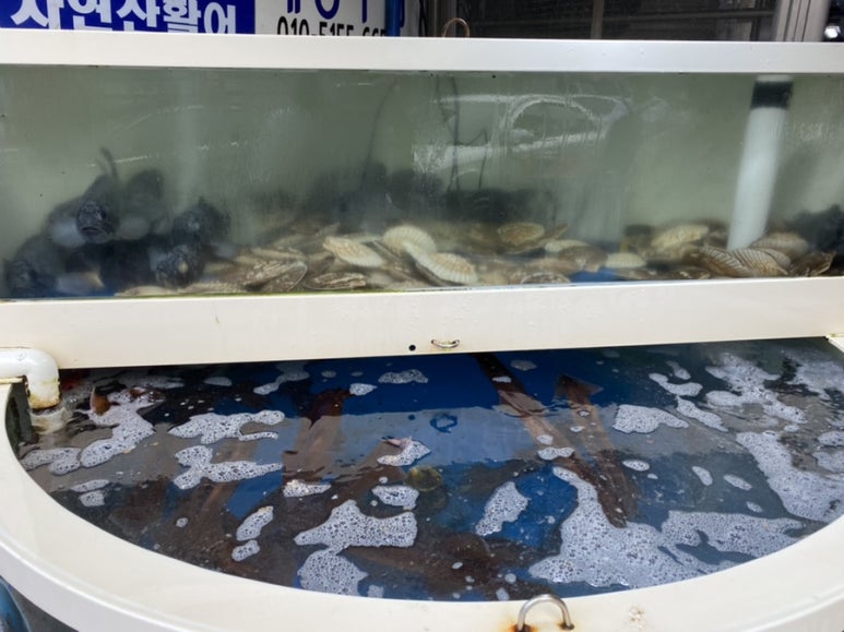 자유수산 이미지