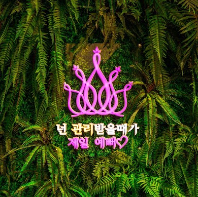 앤클로이토탈뷰티 이미지