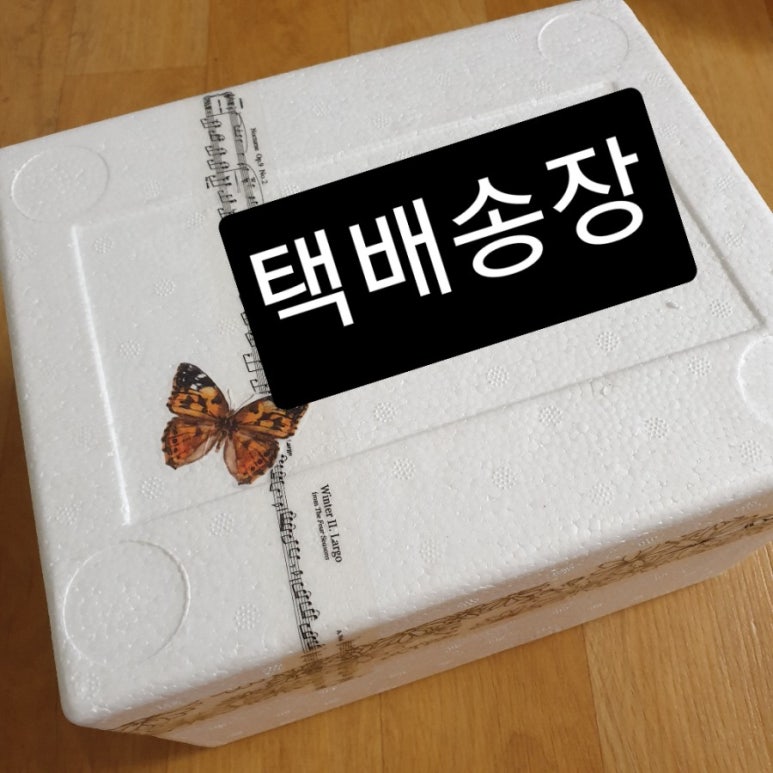 아티자나 이미지