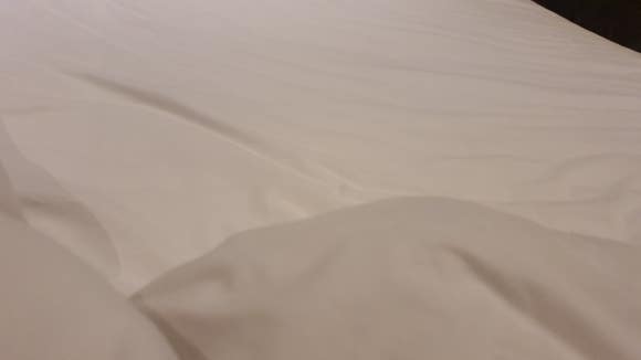 호텔브라운도트 이미지