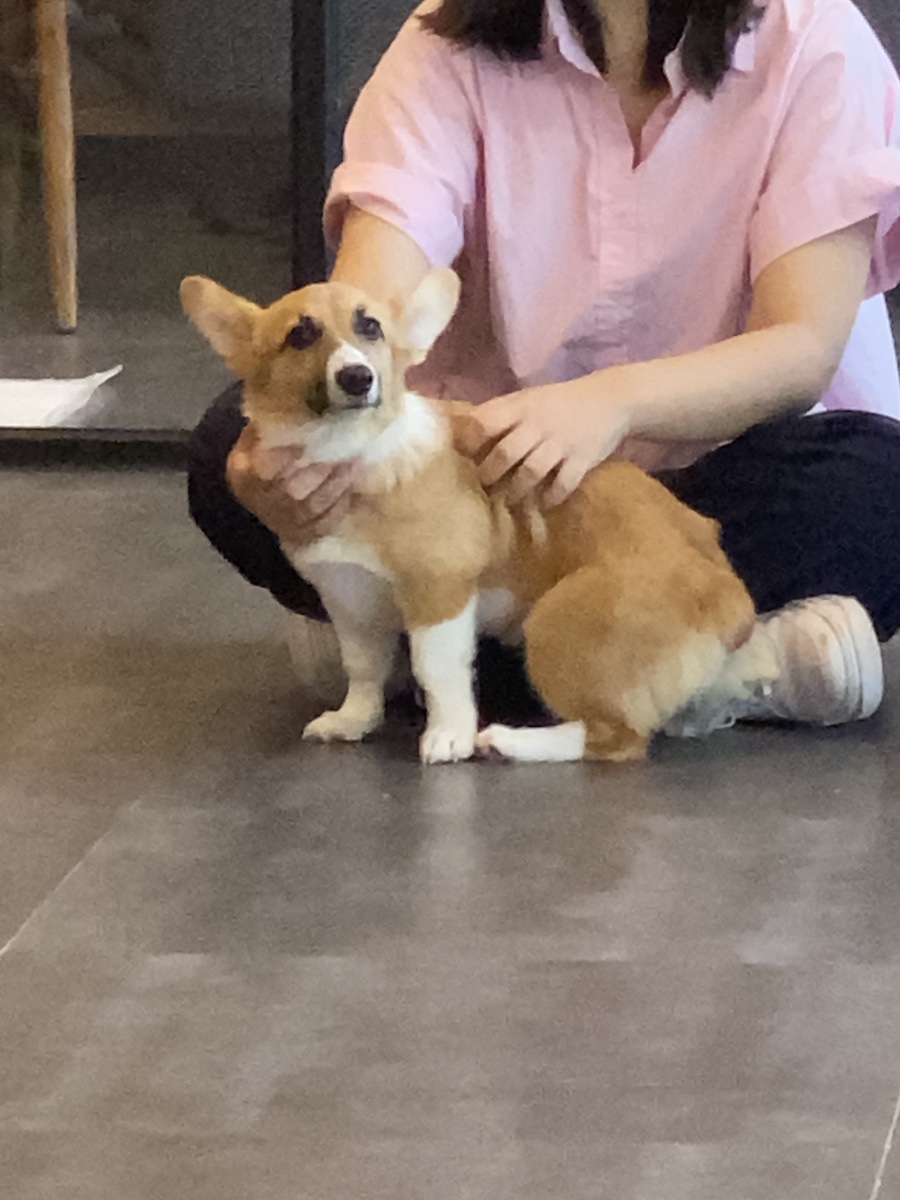(주)알알알 이미지