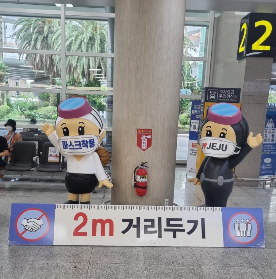 혼져옵서 대표 사진