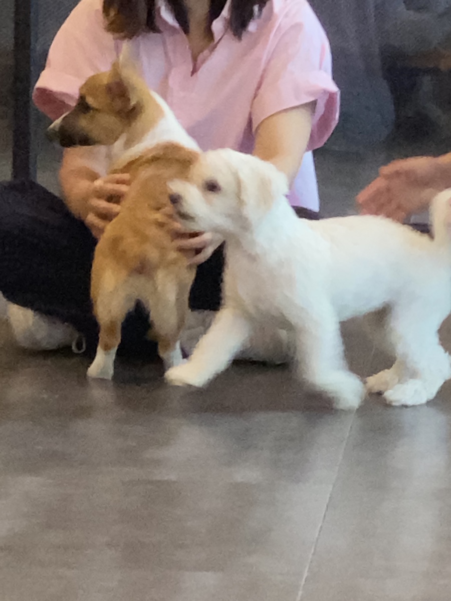 (주)알알알 이미지