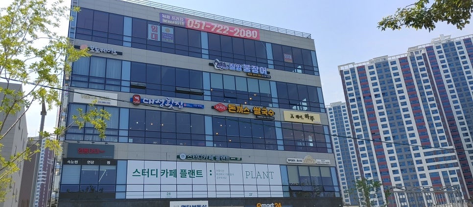 해송칠암붕장어 이미지