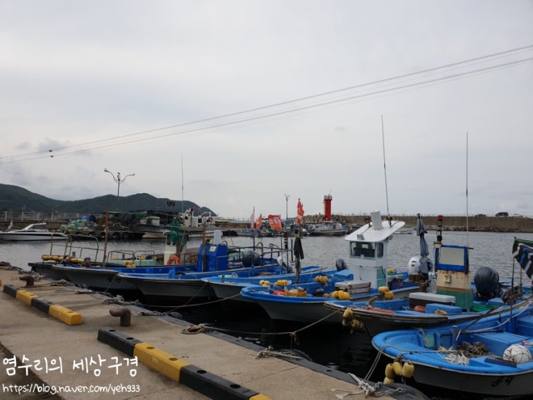영기유통 이미지