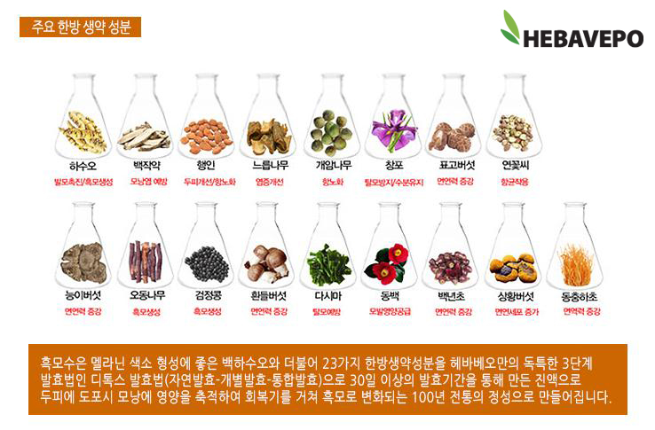 헤바베오 (Hebavepo) 이미지