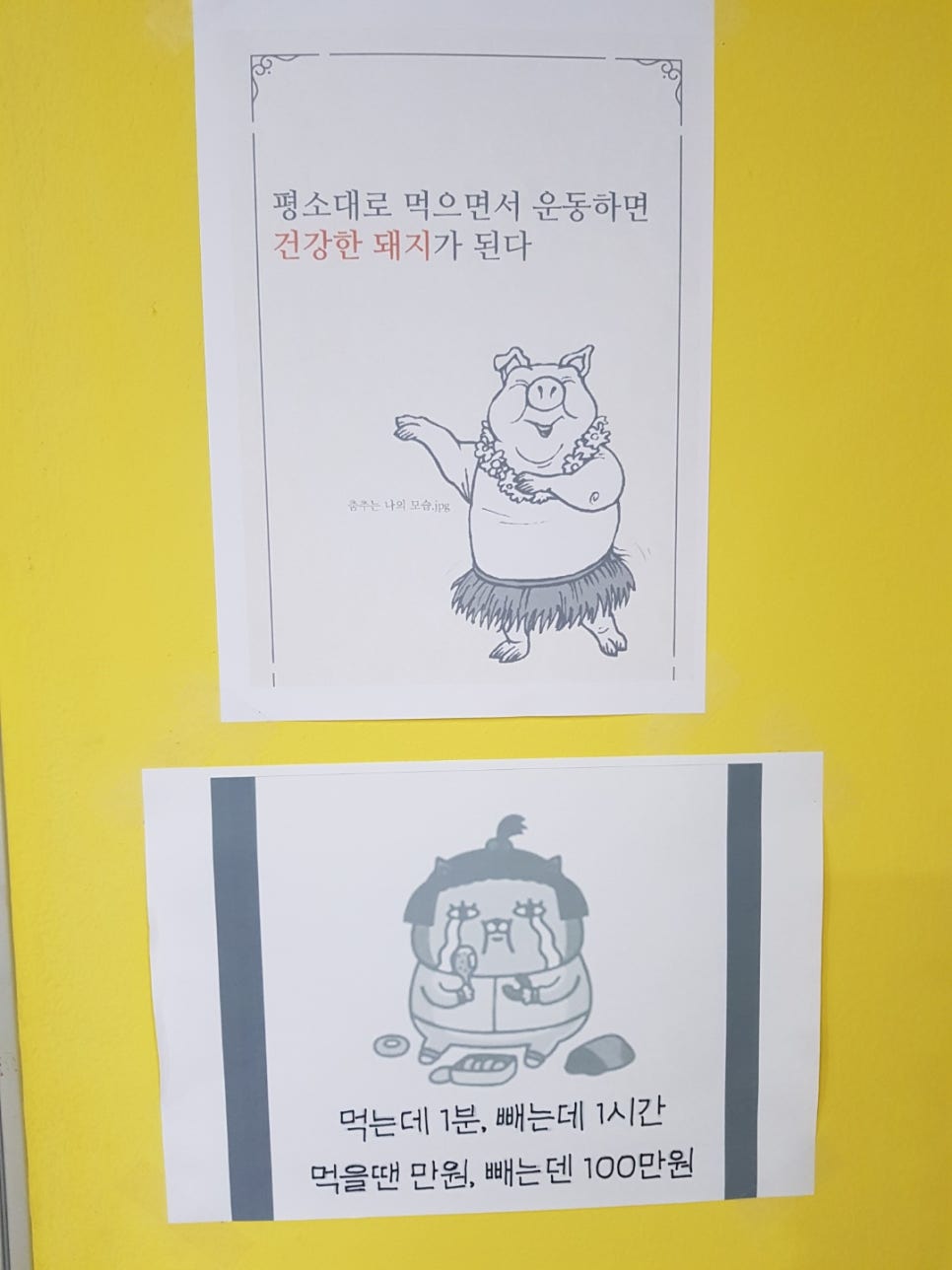 나인핏점핑 이미지