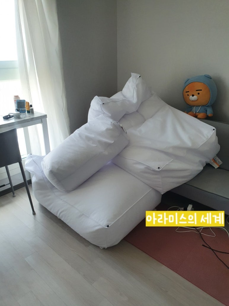 폴리몰리 이미지