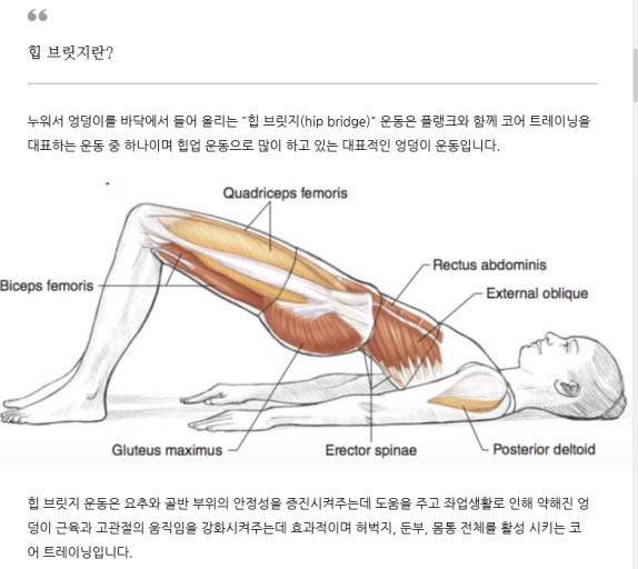 트레이닝브릿지 이미지