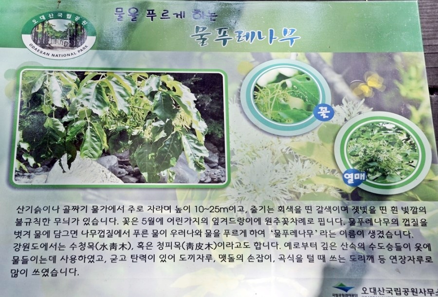 나무친구들 이미지