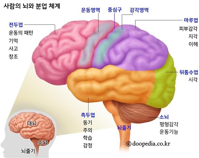 본힐링하우스 이미지