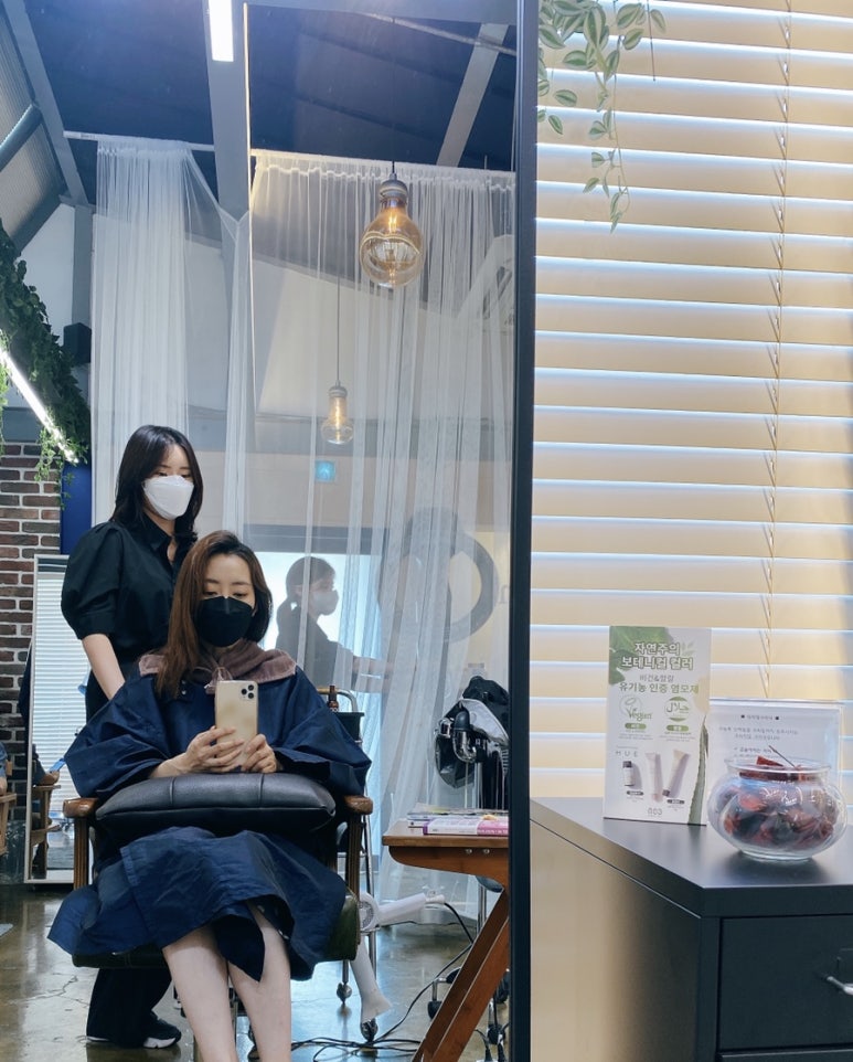 커티즘바이 이미지