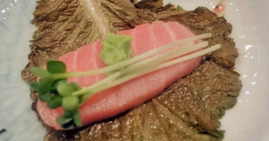 준참치 이미지