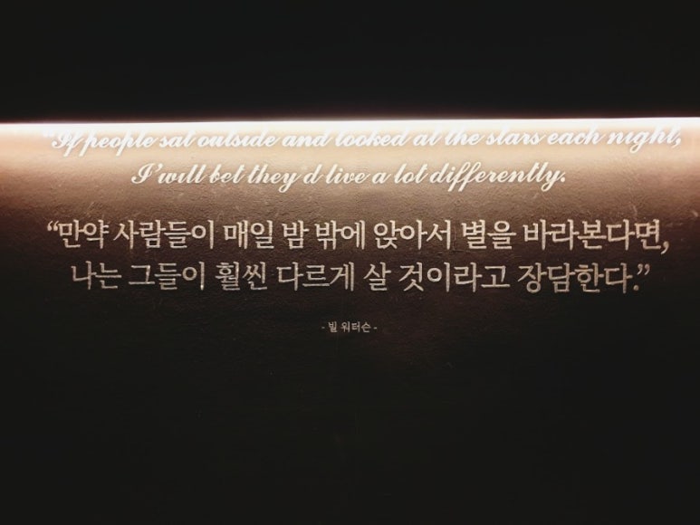 파우자 이미지