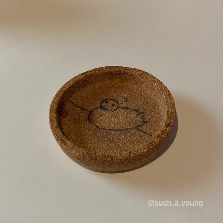 비둘기는멍청해보여 이미지