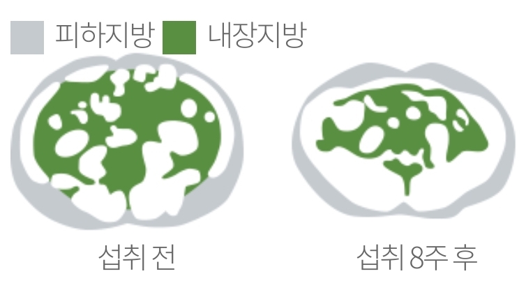 슬림팩 이미지