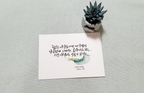 코스모스 오아시스 이미지