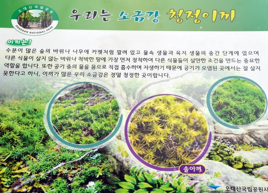 나무친구들 이미지