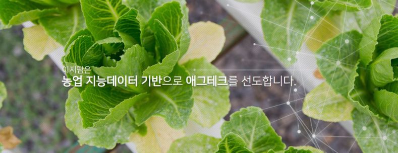이지커머스 이미지
