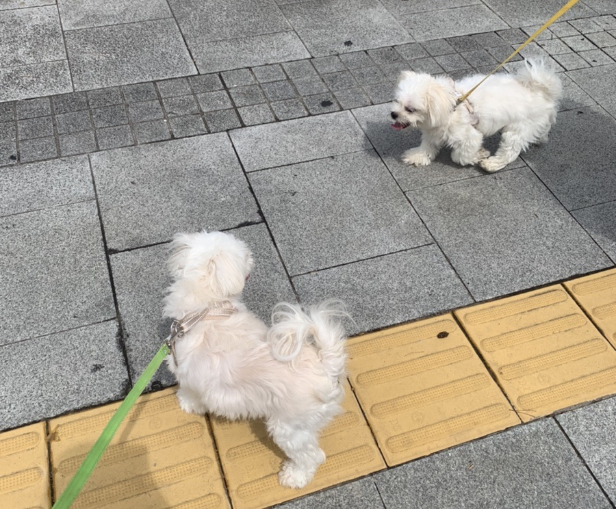 이공닭발 이미지
