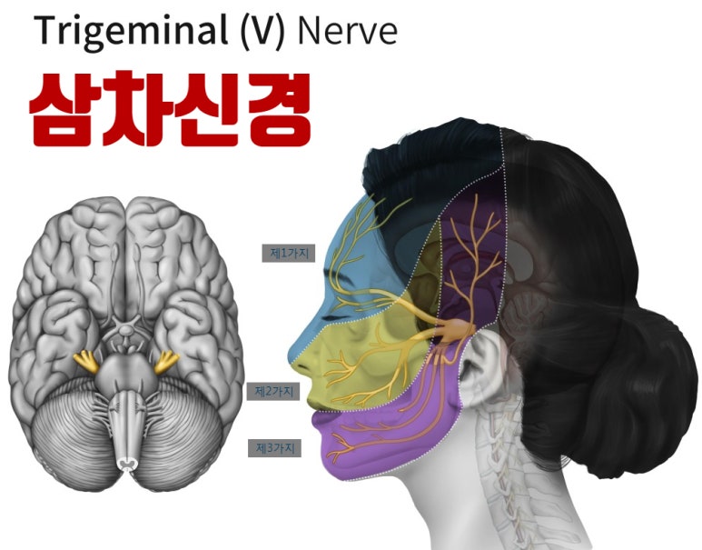 엔한의원 이미지