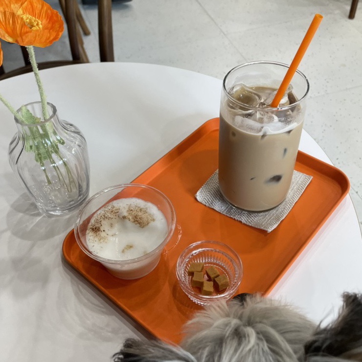 바로BAROH 이미지