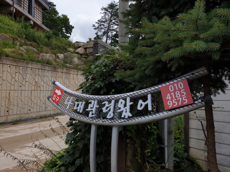 나대관령왔어 이미지